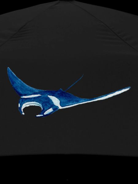 Manta ray var2