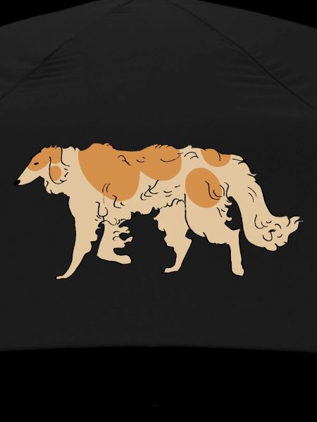 Borzoi