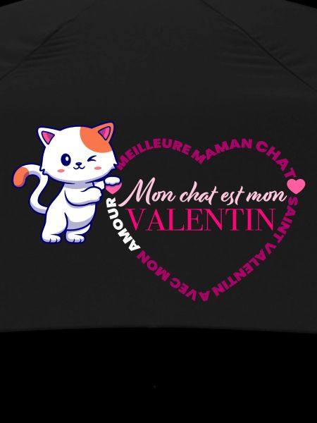 Chat Valentin Coeur