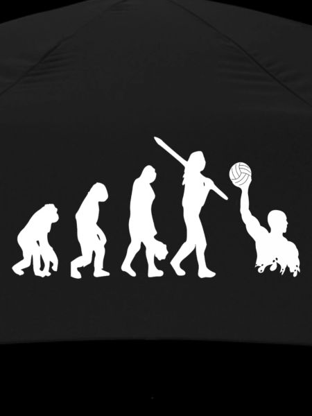 Water Polo Evolution
