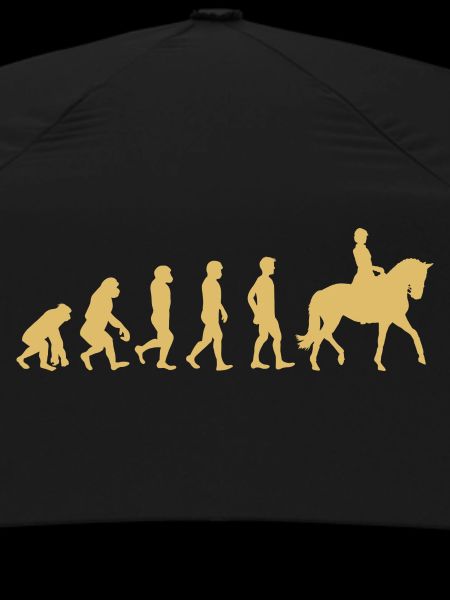 Évolution de l’équitation