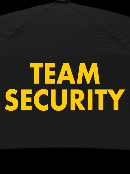Team security