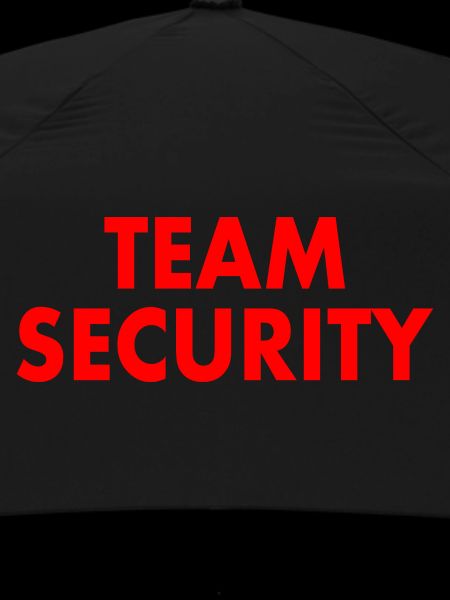 Team security