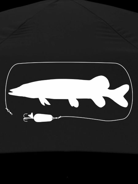 Pike with spoon blinker