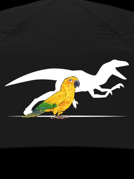 Parakeet Parrot Parakeet Bird