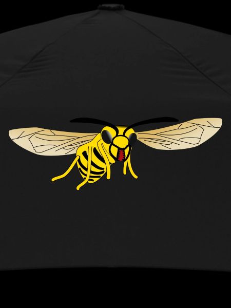 Hornet Wasp