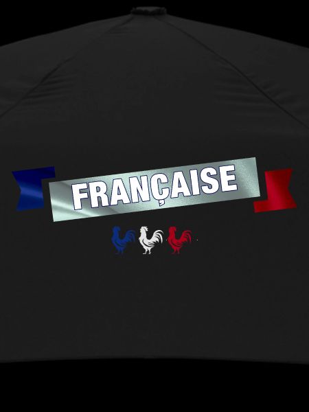 bannière française