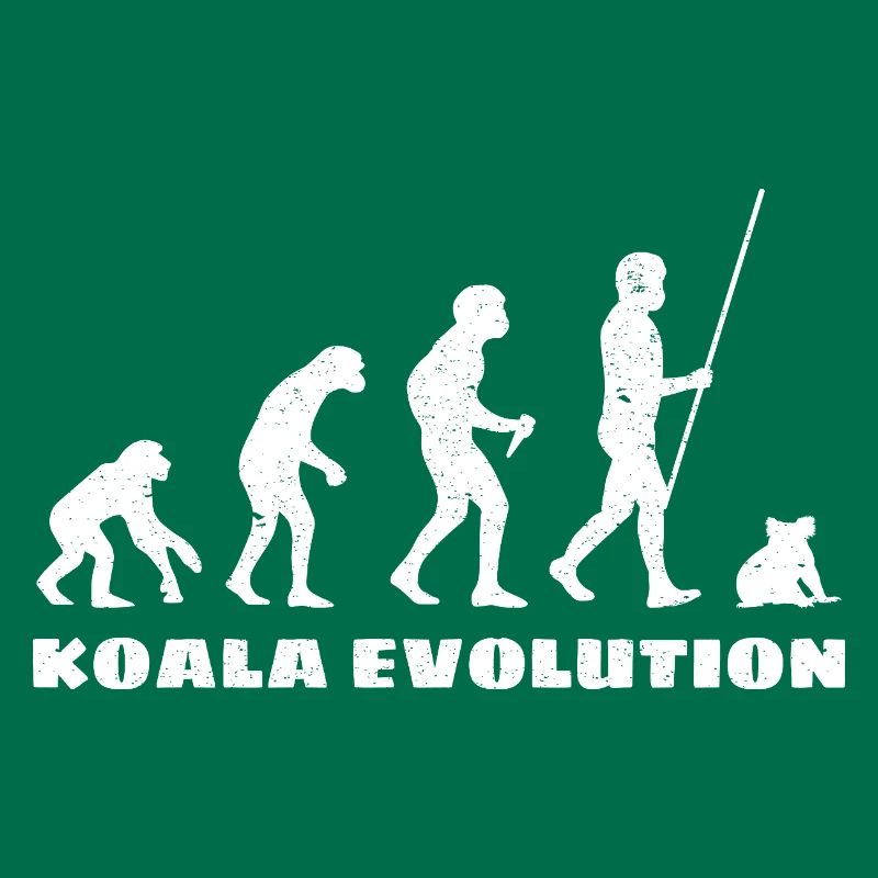 Évolution du koala