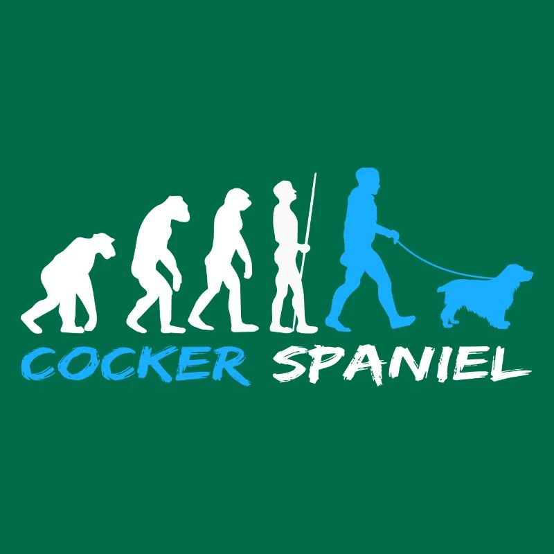 Cocker anglais Cocker Spaniel Chien Evolution