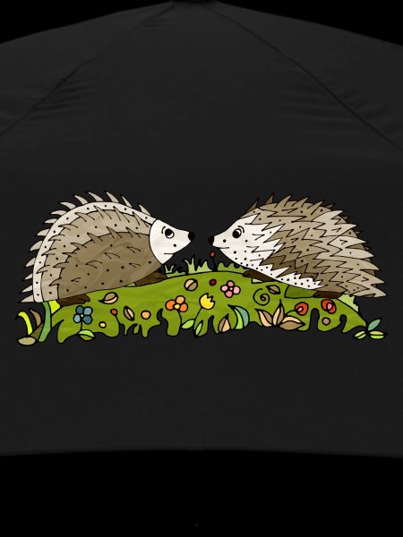 Hedgehogs