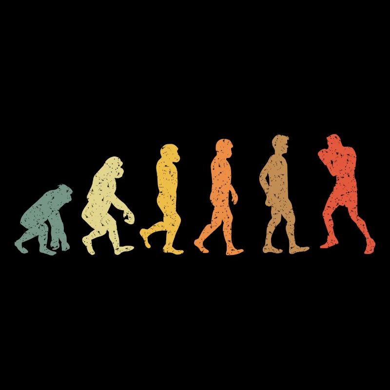 Boîtes Evolution vintage rétro
