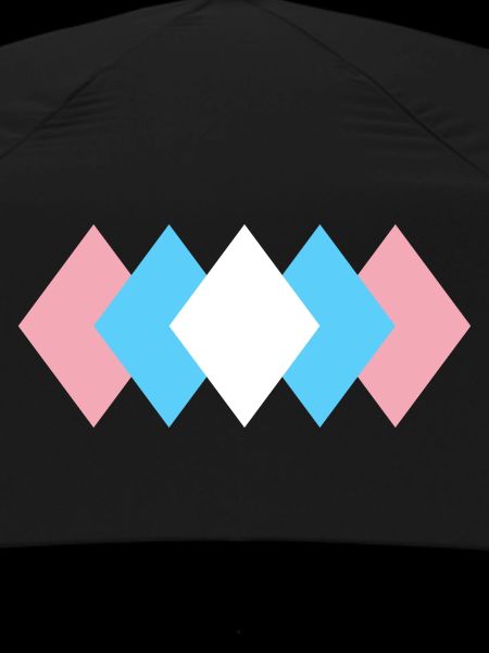 Subtle Transgender Pride
