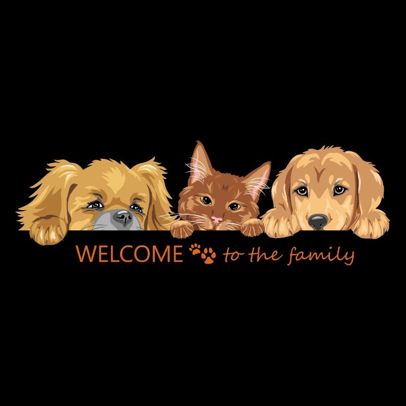 Coup d’œil mignon chat roux et deux chiens