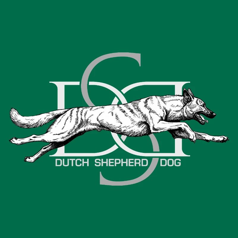 Dutchie - Holländischer Schäferhund