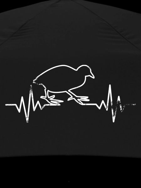 Quail ECG
