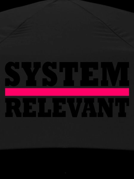 System relevant