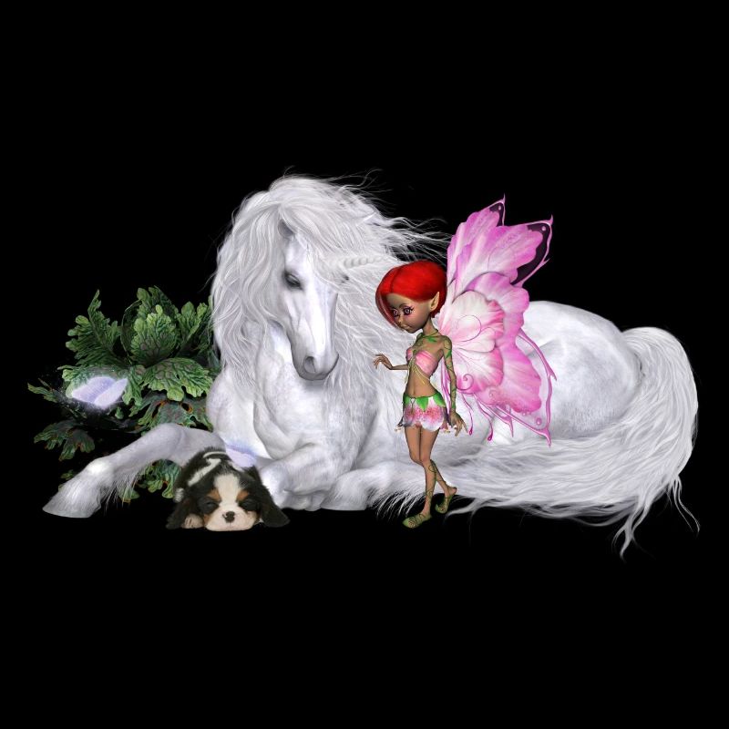 Merveilleuse licorne avec fée