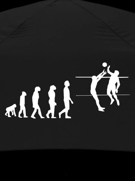 Volleyball evolution