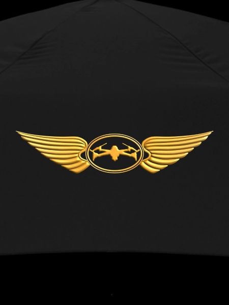 Drone Flying - Drone Pilot