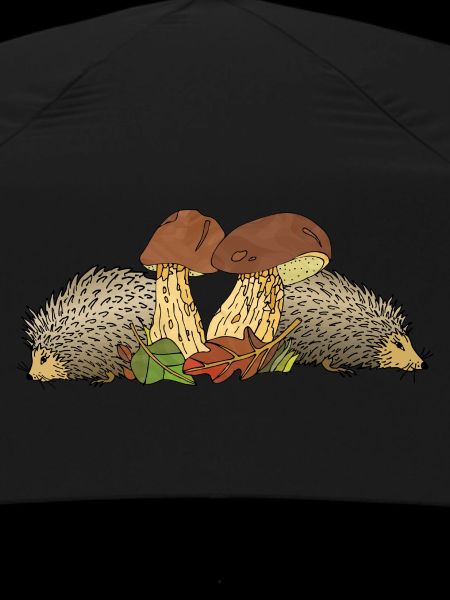 Hedgehogs