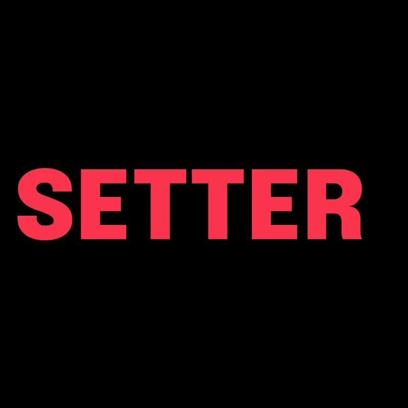 Volleyball Setter
