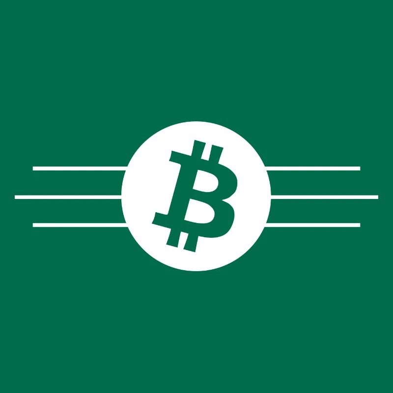 The Bitcoin monetary system