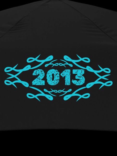 2013