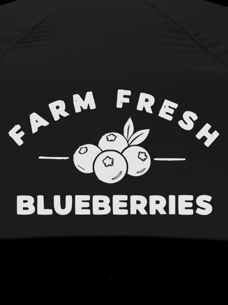 Farm Fresh Blueberries