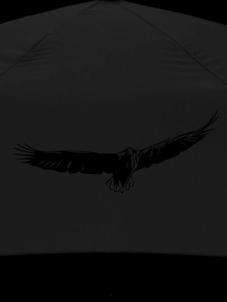 Eagle gliding