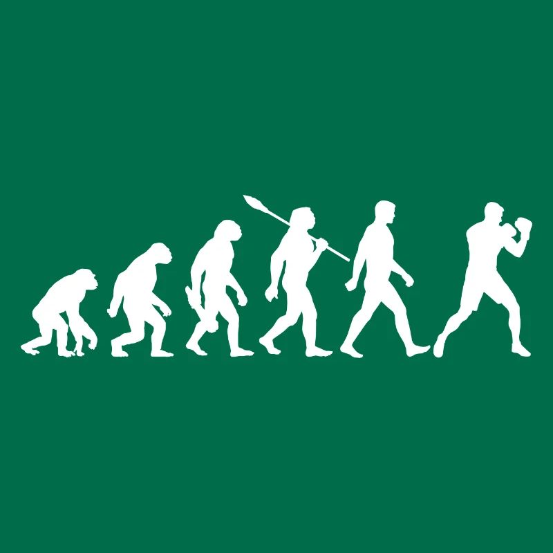 Evolution - Boxing, Martial Arts, Boxing Training