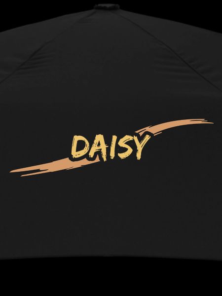Daisy Daisy