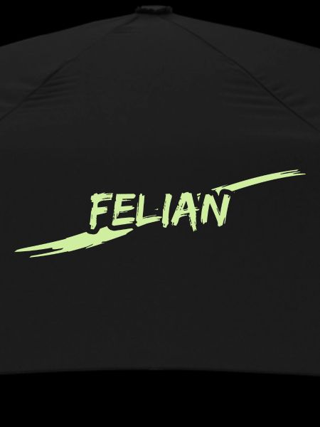 Félin Félin