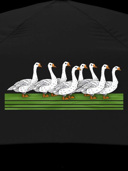 Geese