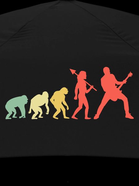 Evolution Bassiste, Bassiste, Musicien