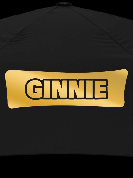 First name Ginnie