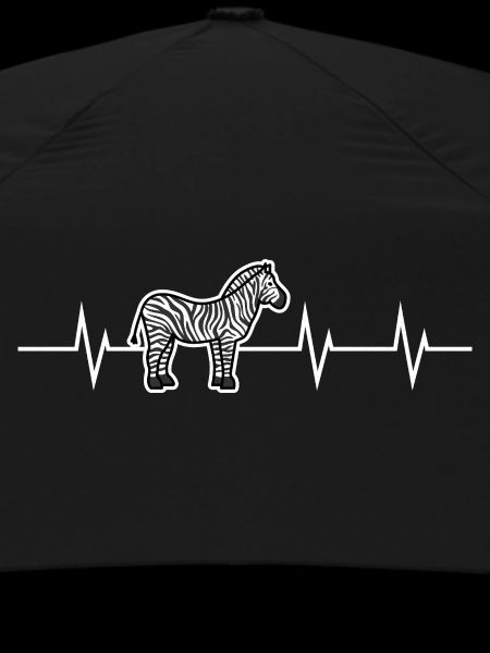 Heartbeat of a Zebra