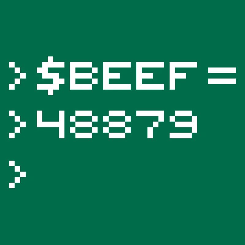 BEEF 8-bit Code Nerd Pixel Terminal Rétro