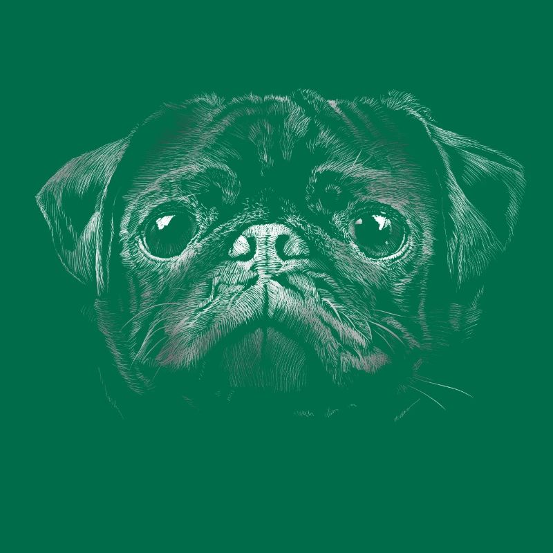 Mops