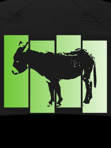 Dwarf Donkey Donkey