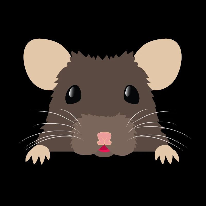 Cute peeking brown ratty rat