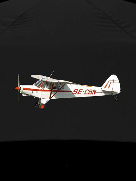 Flugzeug