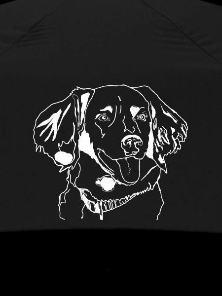 Münsterländer