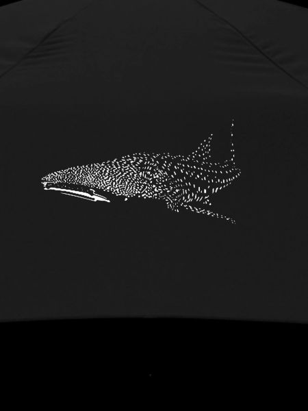 Whale shark