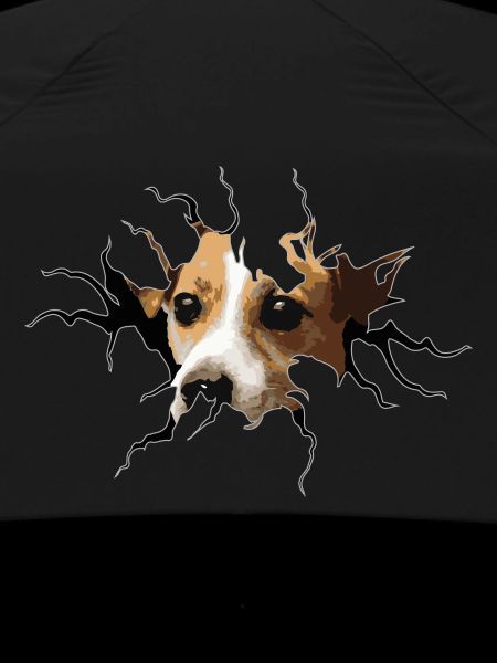 Jack Russell crack hole