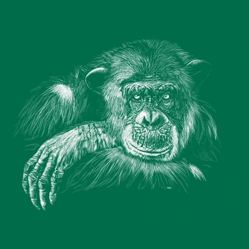 monkey