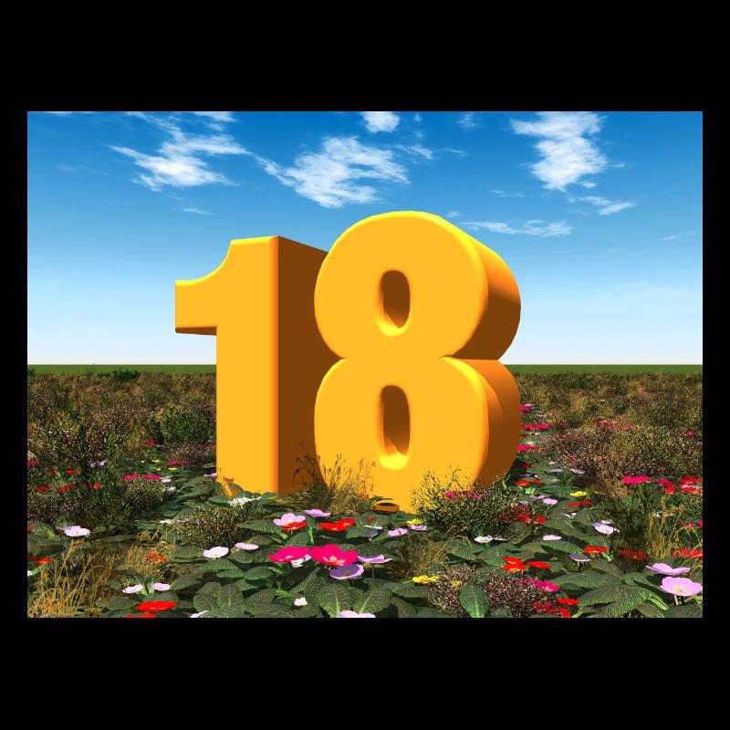 Année 18