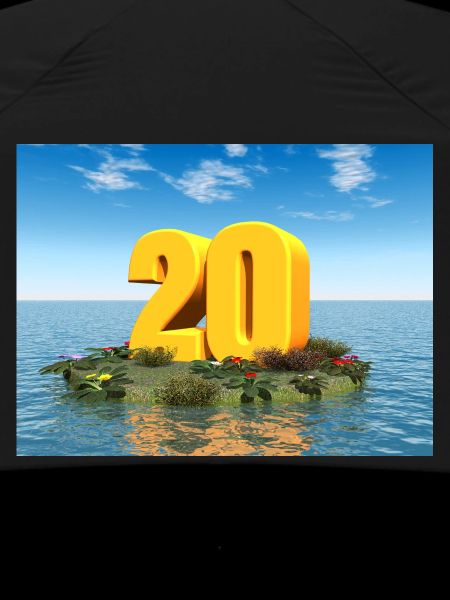 Year 20