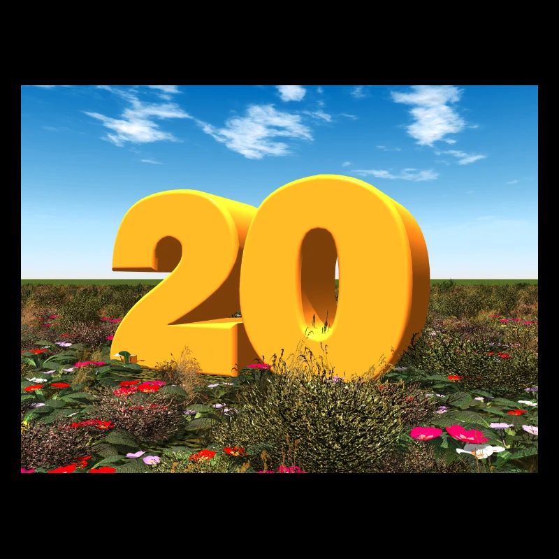 Year 20