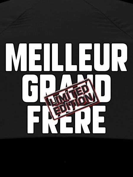 Meilleur grand frère