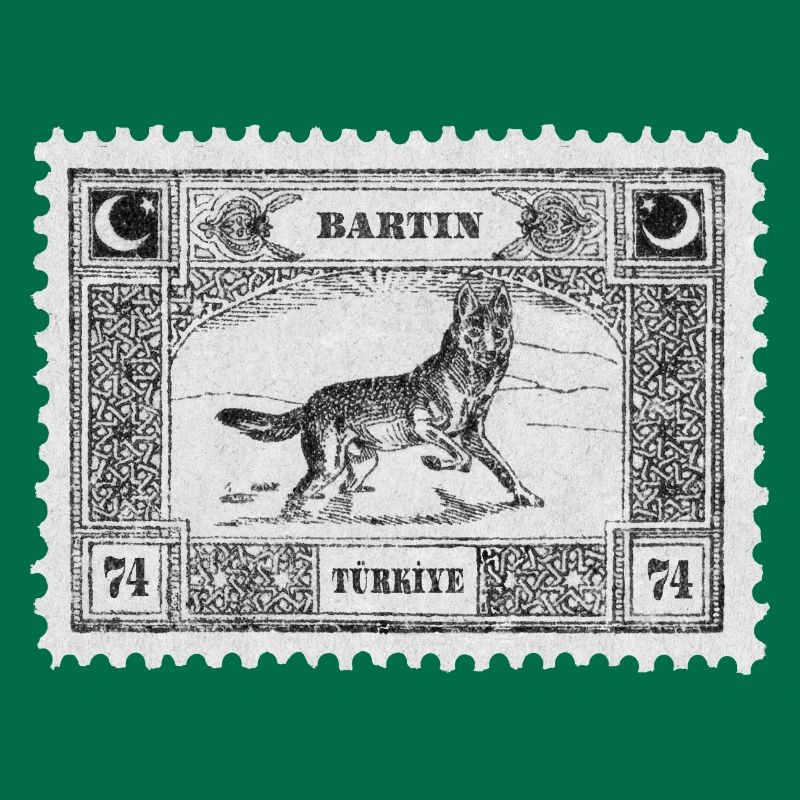 Bartın